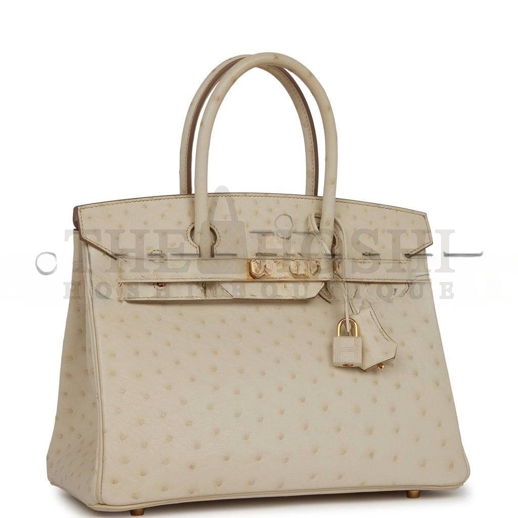 H**me5 MASTER BIRKIN 30 OSTRICH PALLADIUM HARDWARE (30*22*16cm) Master Quality